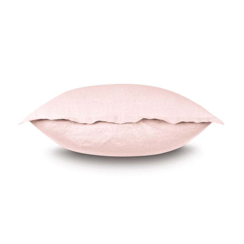 Shiloh Sham, Petal, Standard