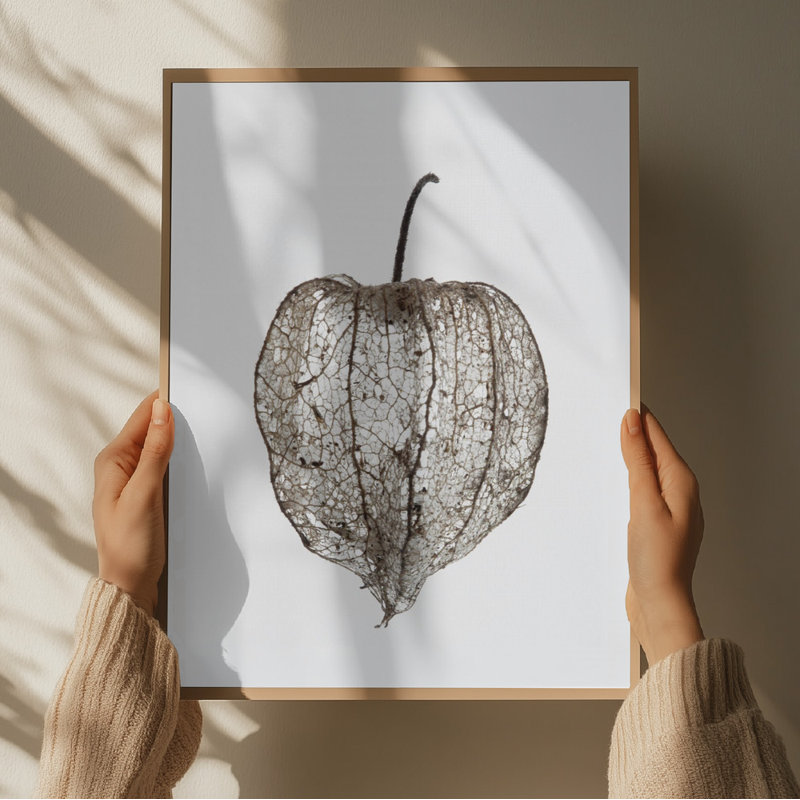 Wrapped Canvas Print, 50.8 cm H x 76.2 cm W