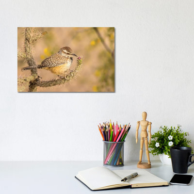 USA, Arizona, Desert Botanic Garden. Cactus Wren Perched On Cactus. by Jaynes Gallery - Wrapped Canvas Print