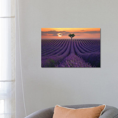 For The Love Of Lavender by Lee Sie - Wrapped Canvas Print