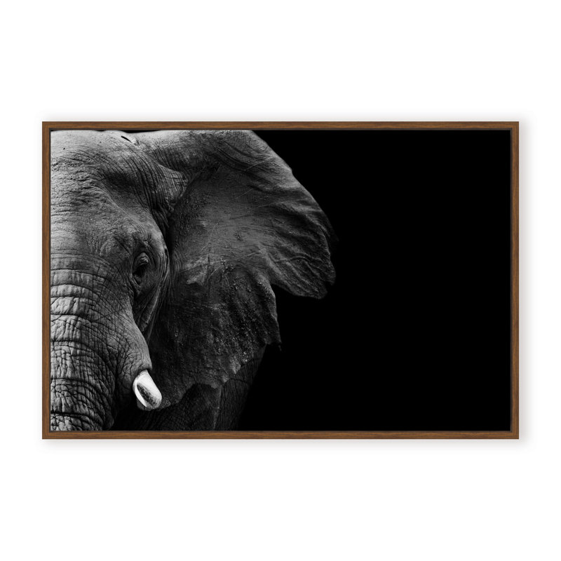 Nature Inspired Elephant by  - Picture Frame Photograph on Paper, 16" H x 24" W x 1.125" D, Brown, Framed Print