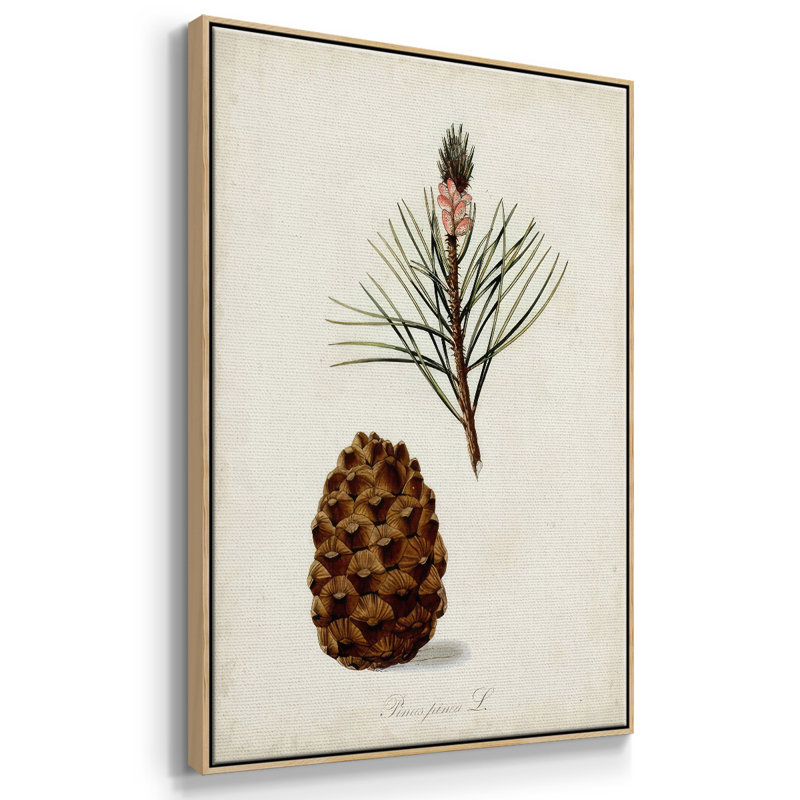 Étude d'arbre antique V, H 41 po x l 27 po x P 1,5 po, Encadré naturel