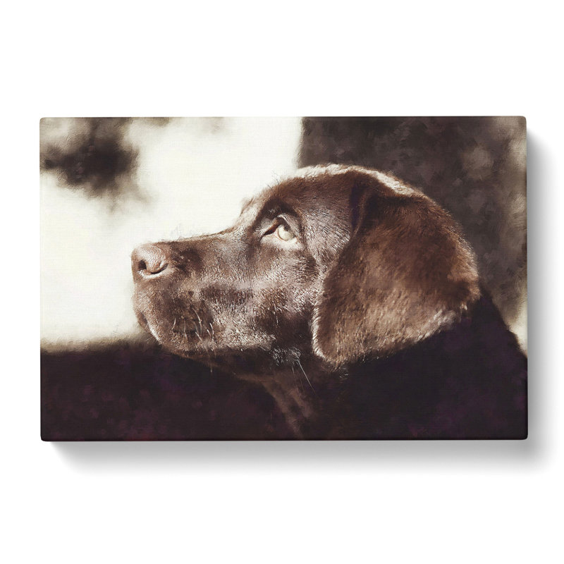 Chocolate Labrador Portrait Painting - Wrapped Canvas, 40cm H x 60cm W x 3cm D