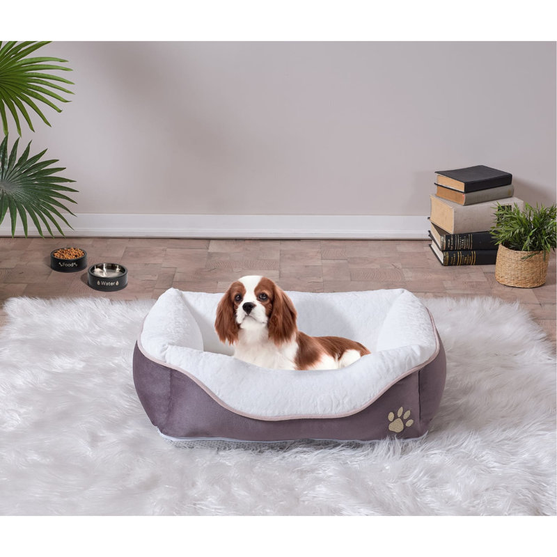 Lit pour chat élégant en mousse, pour animaux de compagnie, anthracite, 17 po x 23 po, lit confortable pour chat, 17 po x 23 po
