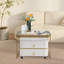 Annease Frame Coffee Table with Storage