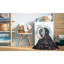 Clinty Moroccan Indoor Rug-476477284