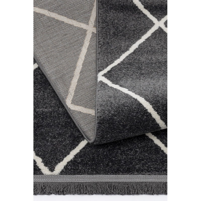 Rayleen Geometric Machine Made Indoor / Outdoor Area Rug, Rectangle 200 x 290cm