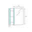 Donatello 15'' W Mirrored Medicine Cabinet