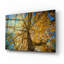 «Fall Tree» par Tim Oldford, art mural en verre acrylique épique, 36 po x 24 po-1829261816