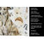 Serviette de cuisine Coffee Bar-1234934660