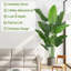 Aneekha 200cm Faux Plant
