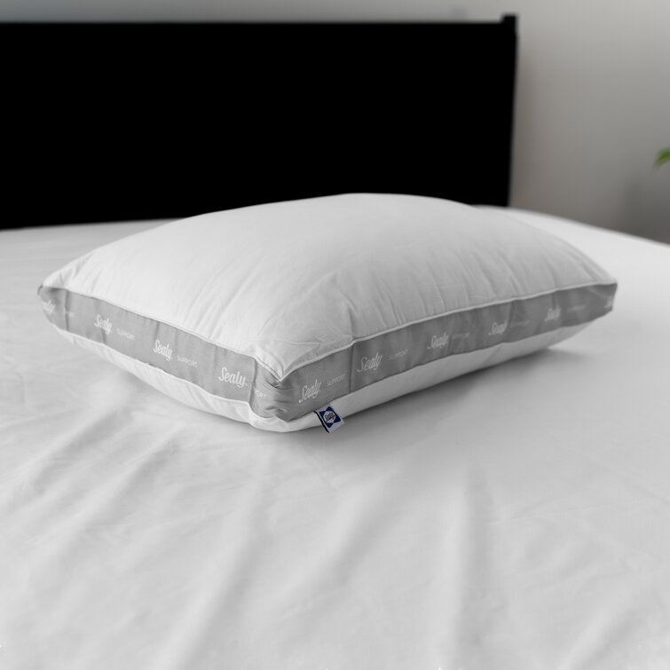 Sealy Extra Firm Support Pillow - Standard/Queen