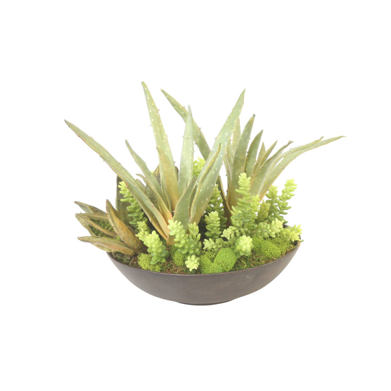 Succulent Mix In Rough Stone Black Bowl