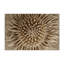 Tapis d'intérieur et d'extérieur brun Nature-562749760