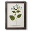 Nature imprimée Botanicals VI, toile encadrée de qualité supérieure - prête à être accrochée-121372893