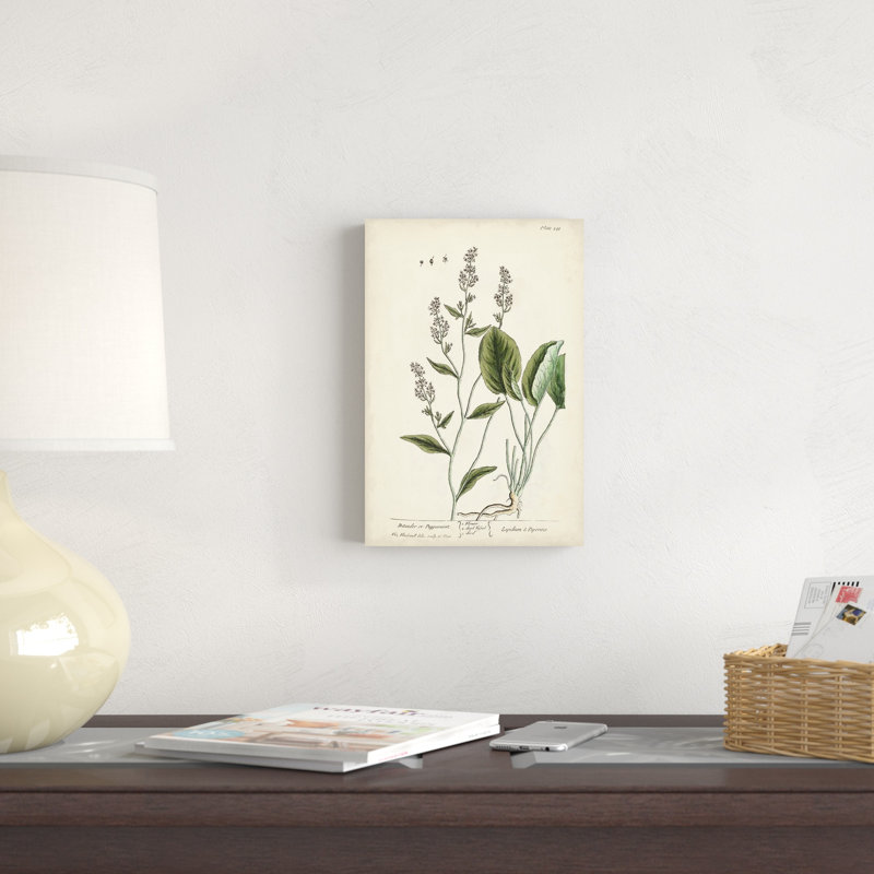 Herbes antiques V, H 12 po x l 8 po