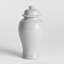 Ricki Ceramic Ginger Jar-1513130368-1488949449