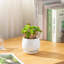 TYHPOT Ceramic Pot Planter-1035786450