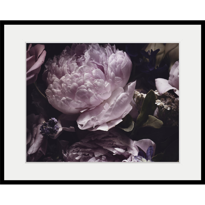 Rose - Single Picture Frame Print