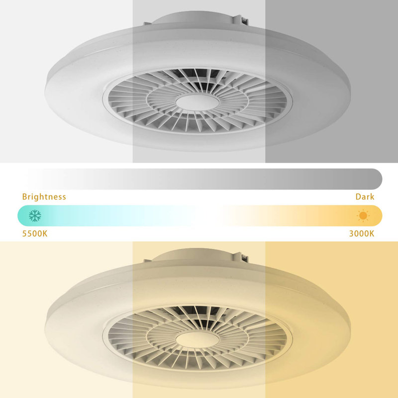 Ceiling Fan with LED Lights