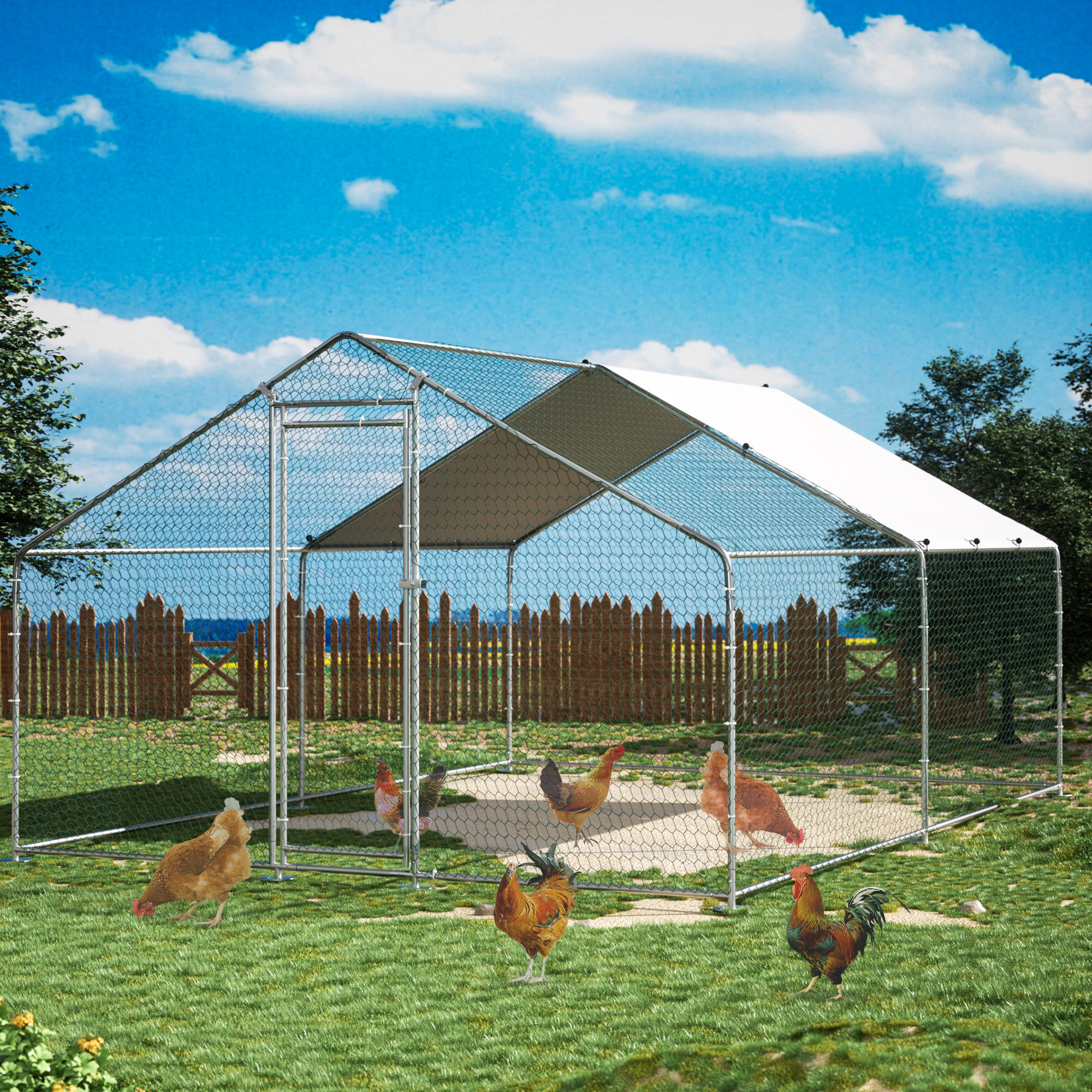 Tucker Murphy Pet™ Doel Chicken Coop Walking Chicken Run Metal Chicken ...