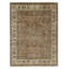 Hand Knotted Wool Oriental Area Rug in Brown And Ivory