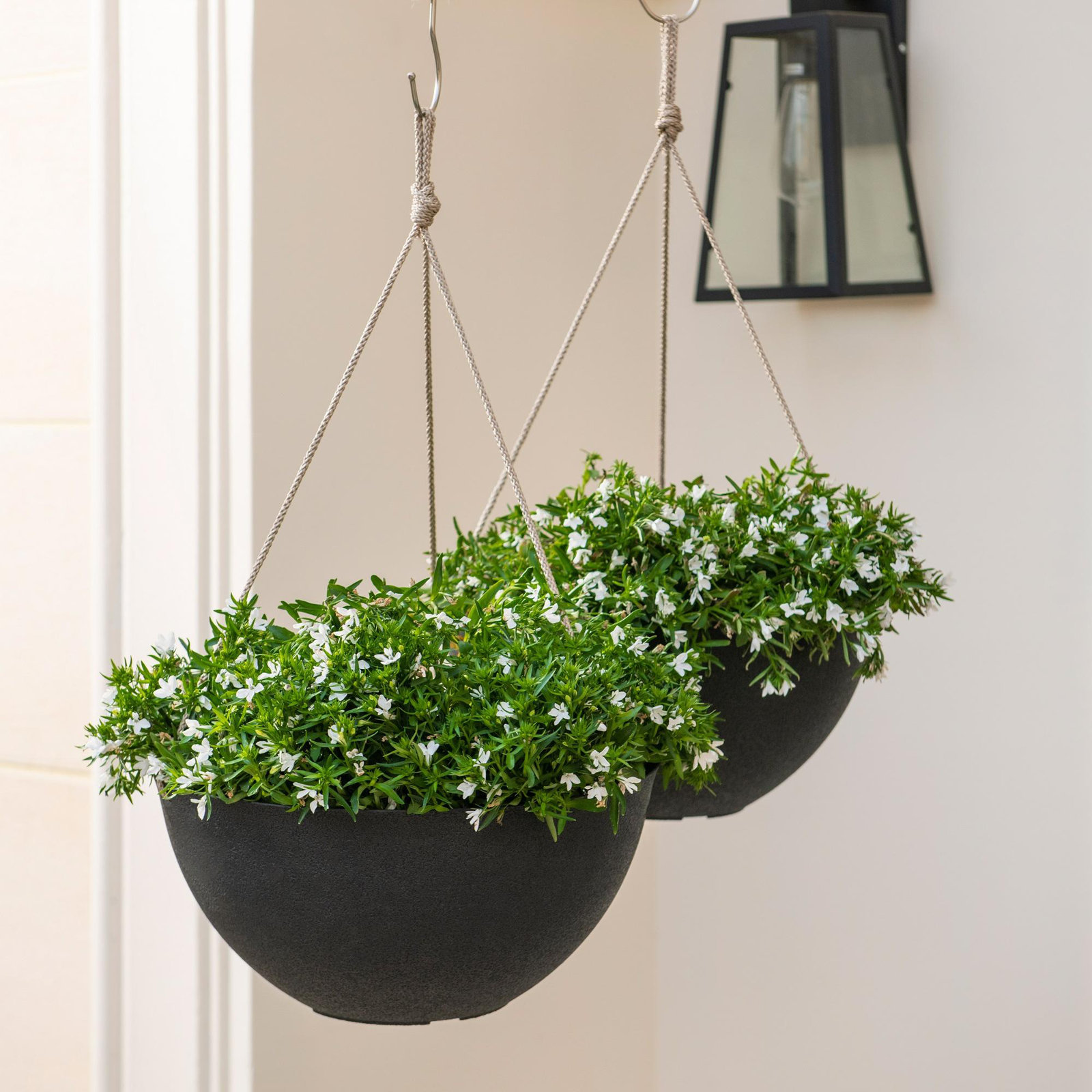 Boxdale 13" Hanging Planter, Black, 6.3" H x 13.2" W x 13.2" D