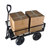 Wagon Cart Garden Cart