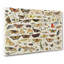 Butterflies and Insects Vol.1 by Jan Van Kessel - Wrapped Canvas-61848300