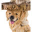 22"H Playful Puppies and Cardinal Resin Birdbath