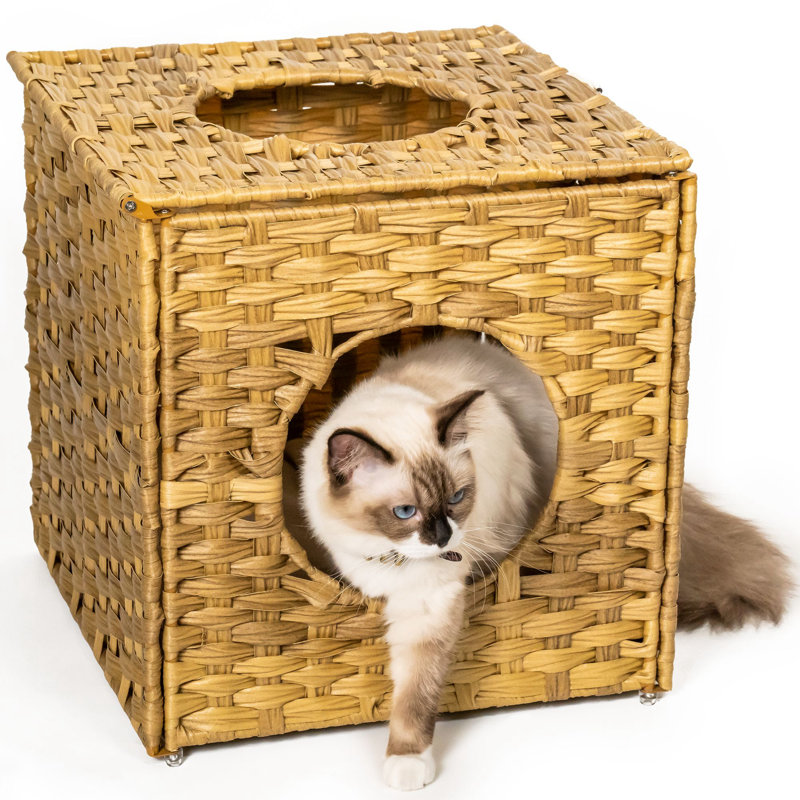 Lit pour chat Bhure, Naturel