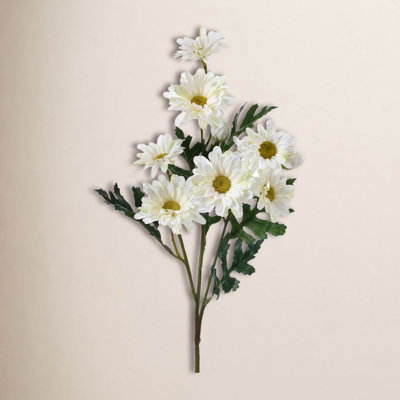 Daisy Spray X7 +3bud 25"