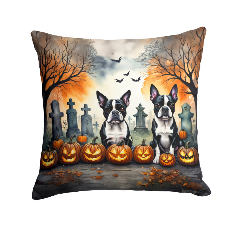  Coussin décoratif intérieur / extérieur en polyester Autre / Sans motif, 18 po x 18 po