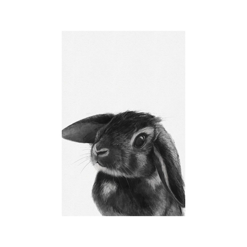 Bunny by Laura Graves - Wrapped Canvas Giclee Art Print, 66.04 cm H x 45.72 cm W x 1.91 cm D