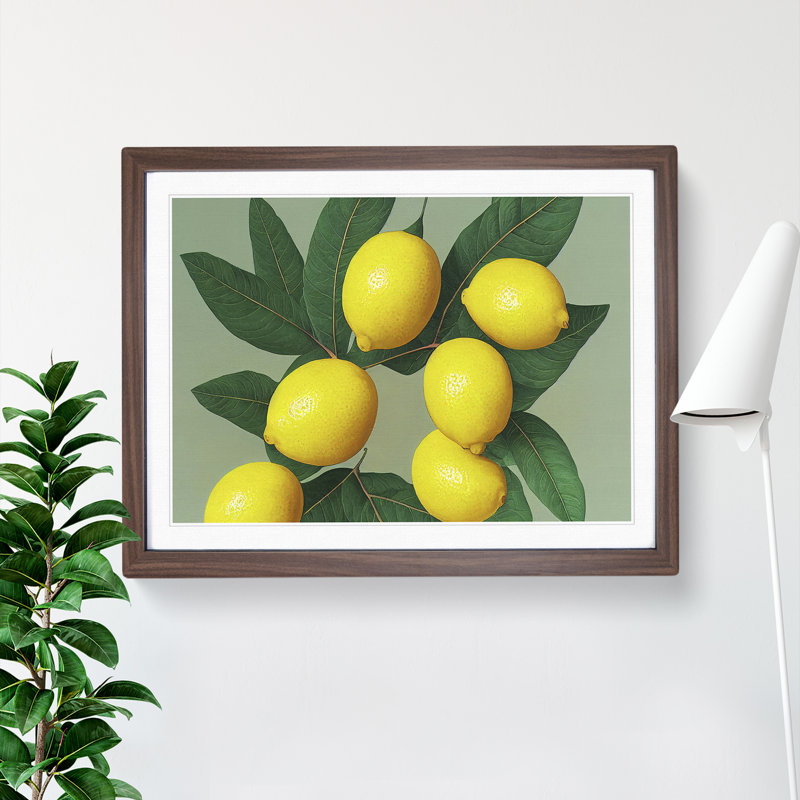 Citrus Fruit Lemons Vol.2 - Framed Print, 25cm H x 34cm W x 2cm D, Walnut
