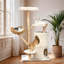 Cat Tree-73089945