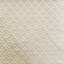 Embossed Jacquard | Chuck Fabric_CHUCK