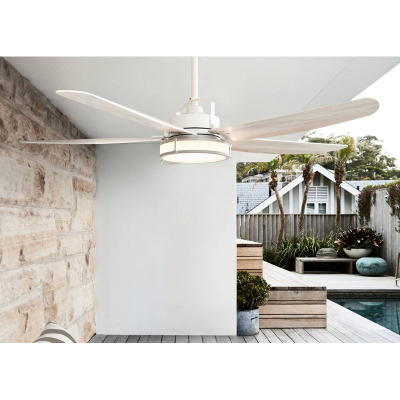 Adelpho 158cm Ceiling Fan with Light Kit