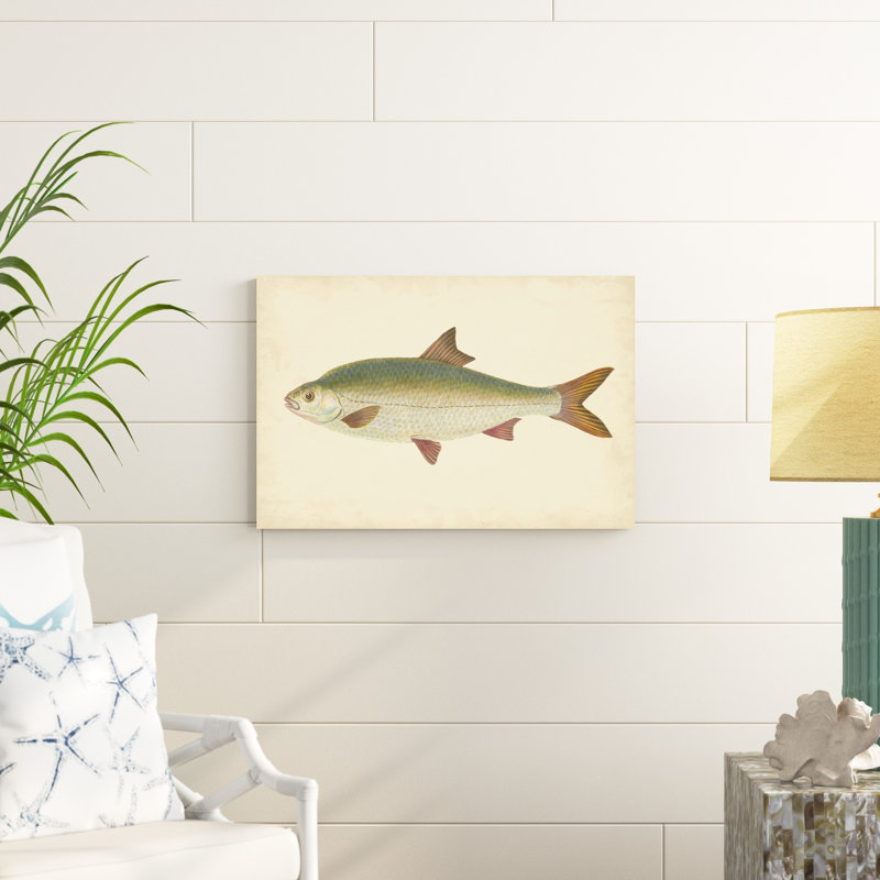 " Donovan Antique Fish II " by Donovan, 20" H x 30" W x 1" D