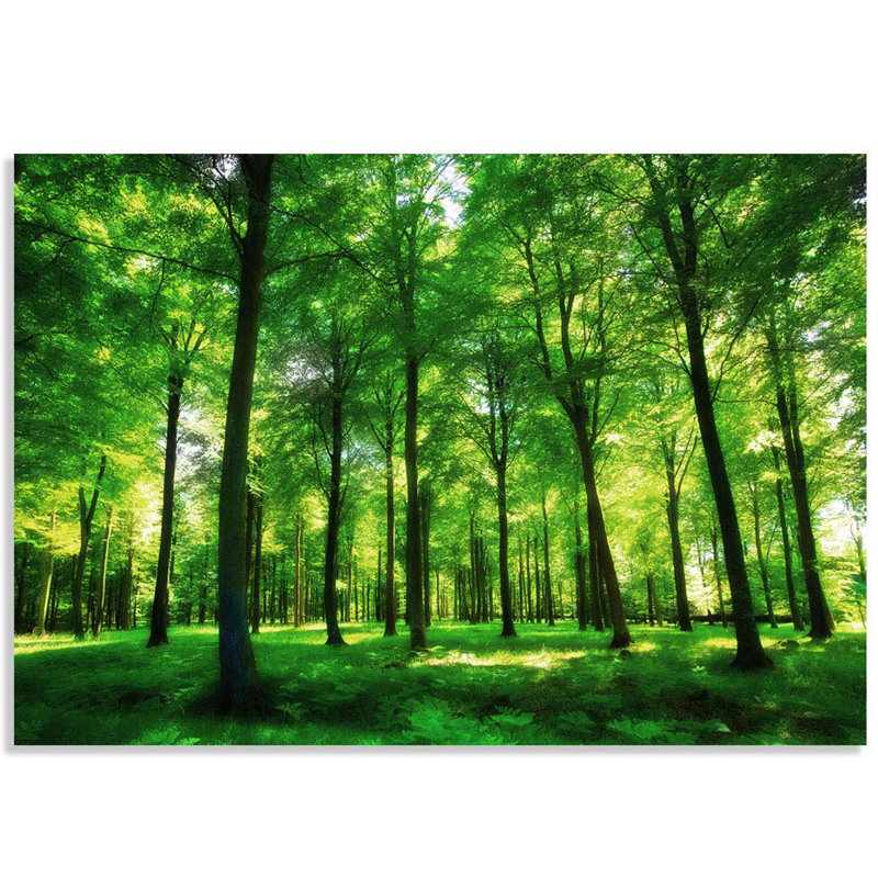 Peel & Stick Border, 100" L x 144" W
