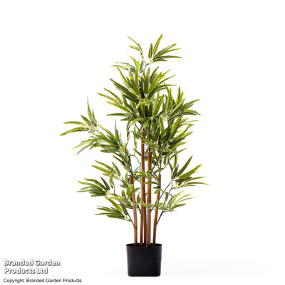 90cm Bamboo Tree in Pot