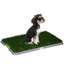 Tapis de pelouse artificiel pour dressage de petits chiens