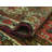 Kedarious One-of-a-Kind 4'10" x 8'2" 1980s Rectangle Wool Area Rug in Ivory