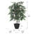 4' Mini Everyday Bush-1064418676
