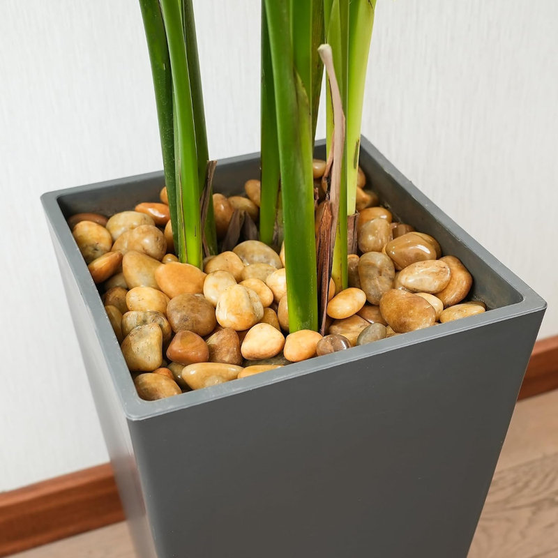 Rocher de rivière 36 lb Dryburgh, grand caillou pour aménagement paysager, jardin et aquarium