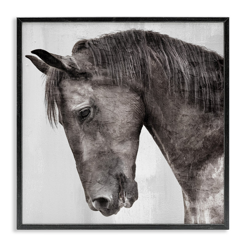 «King Monochromatique Horse», art de la giclée par Kim Allen, Giclée encadrée noir minuit, H 24 po x l 24 po