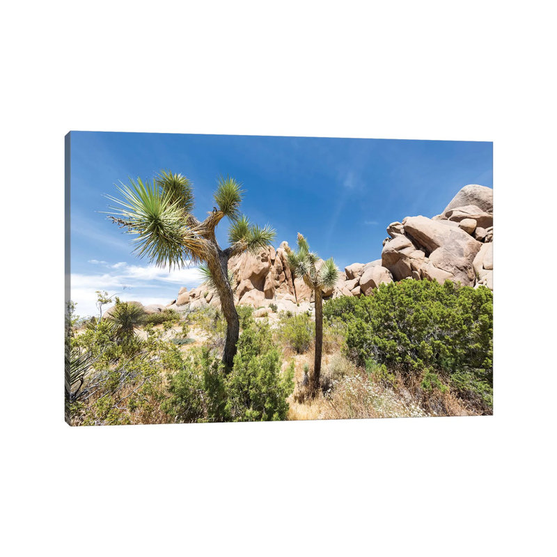 Lovely Joshua Trees by Melanie Viola - Wrapped Canvas Print, 66.04 cm H x 45.72 cm W x 1.91 cm D