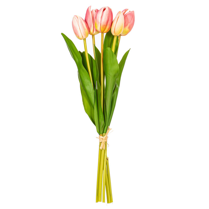  16" Purple/Cream Tulip Bundle 2/Bag.Includes two bundles of five tulips., Rose