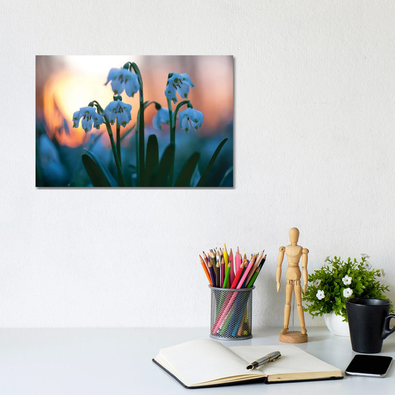 Spring Snowflake by Mateusz Piesiak - Wrapped Canvas Print, 20.32 cm H x 30.48 cm W