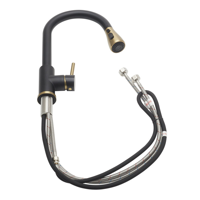 Belfry Kitchen Orin Kitchen Faucet, Matte Black/Gold